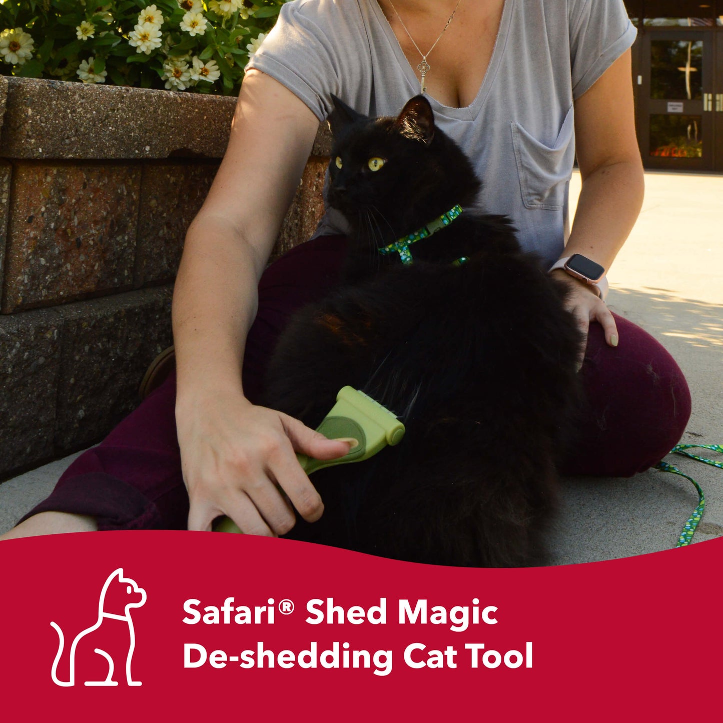 Safari Shed Magic De-Shedding Tool for Cats with Medium to Long Hair