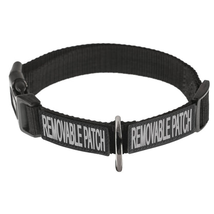 Omega Nylon Flat Collar ( Built-in Hook & Loop Fastener )