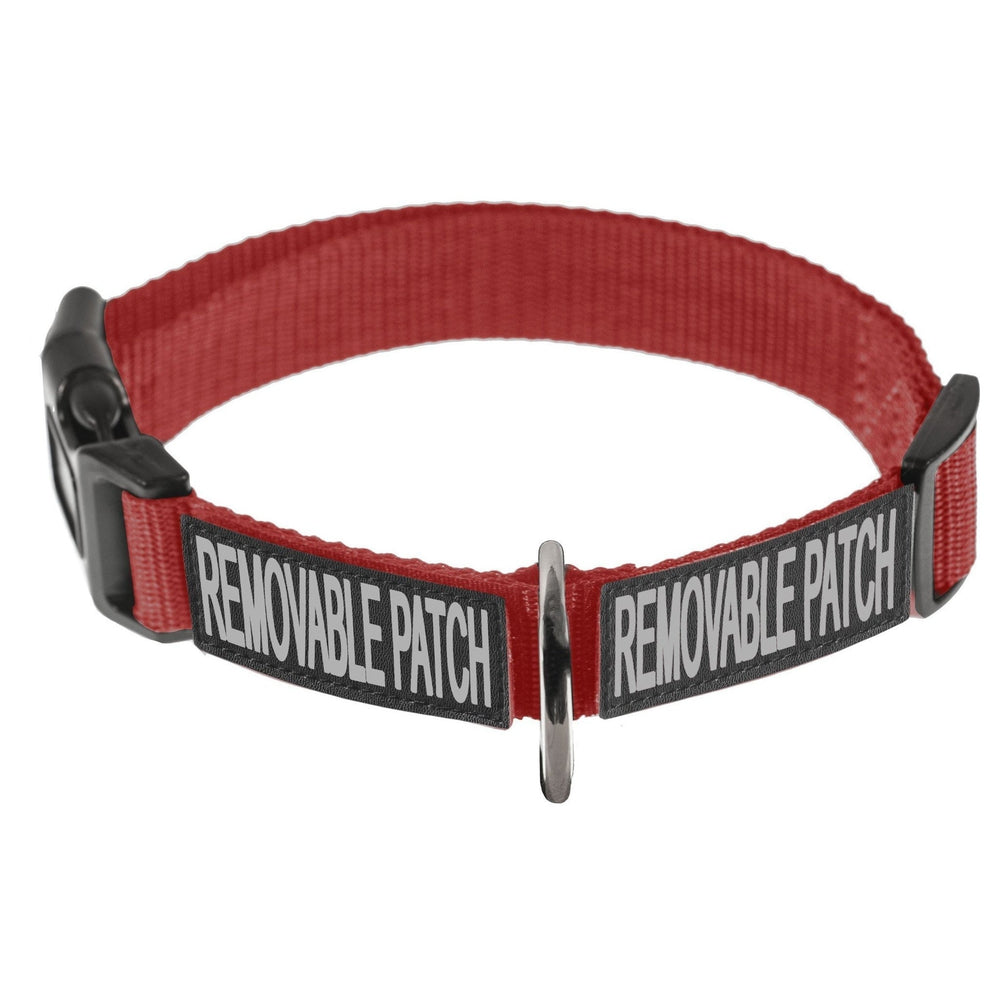 Omega Nylon Flat Collar ( Built-in Hook & Loop Fastener )