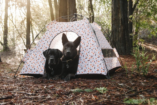 Outdoor Dog Tent - Vanilla