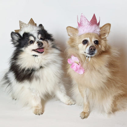 Party Crowns with SnugFit