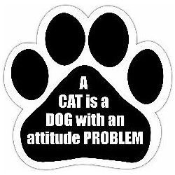 Car Magnet - A cat is a dog with an attitude problem