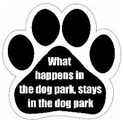 Car Magnet - What happens in the dog park stays in the dog park