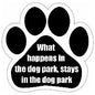 Car Magnet - What happens in the dog park stays in the dog park