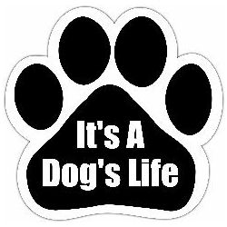 Car Magnet - It's A Dog's Life