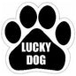 Car Magnet - Lucky Dog