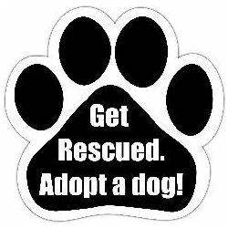 Car Magnet - Get Rescued. Adopt a dog