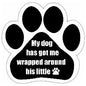 Car Magnet - My dog has got me wrapped around his little paw