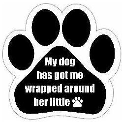 Car Magnet - My dog has got me wrapped around her little paw