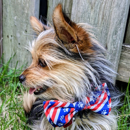 Paws & Stripes Bow Tie