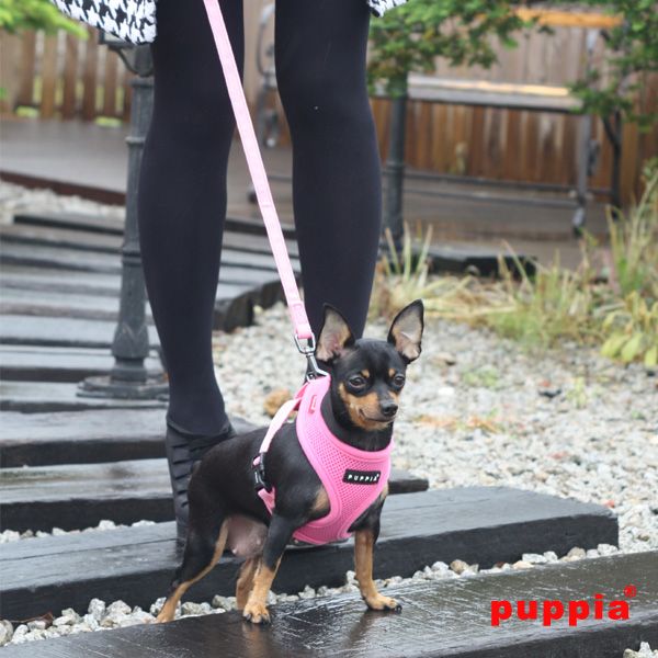 Puppia Soft Harness