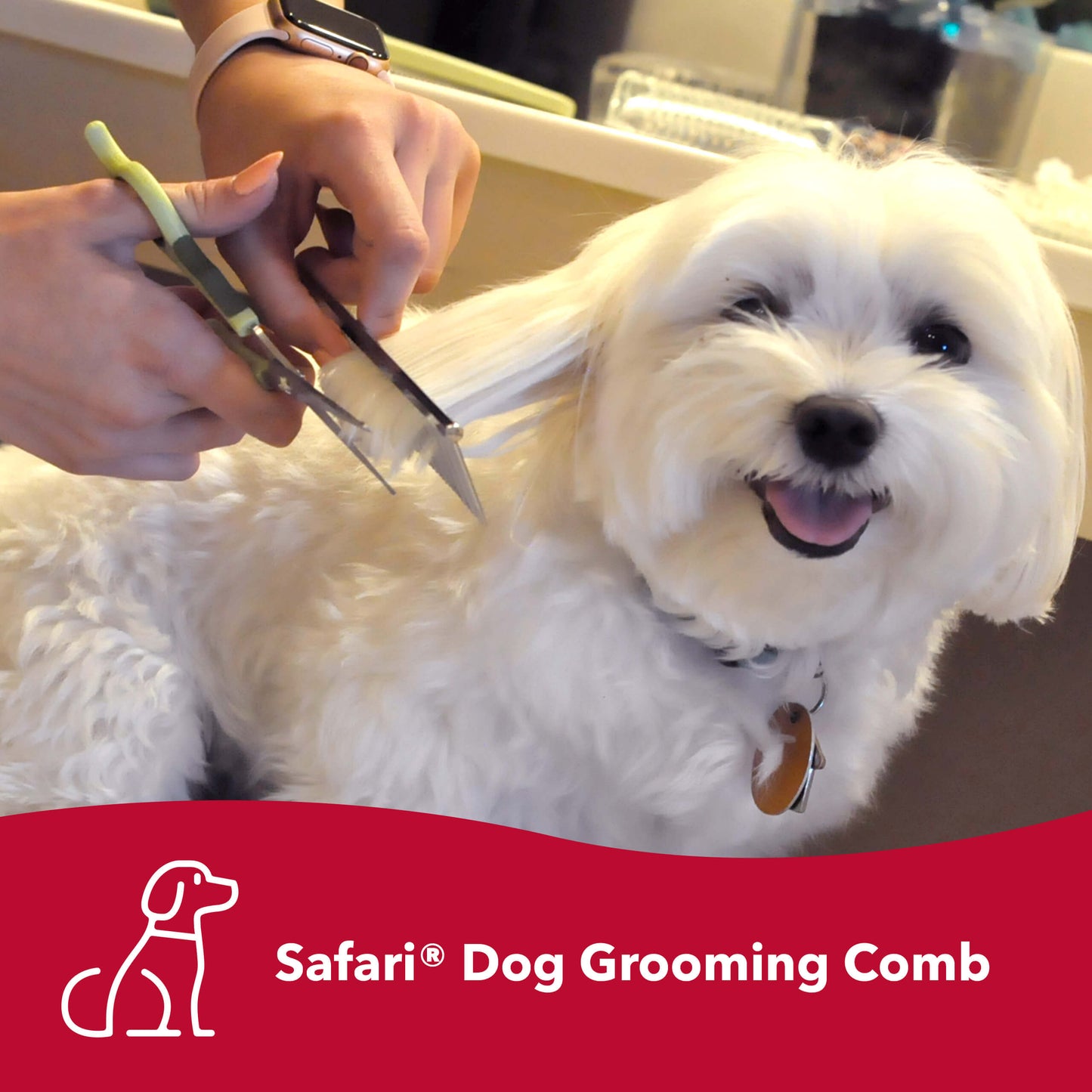 Safari Dog Grooming Combs for Medium and Fine Coats