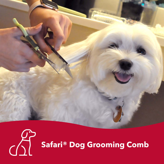 Safari Dog Grooming Combs for Medium and Fine Coats