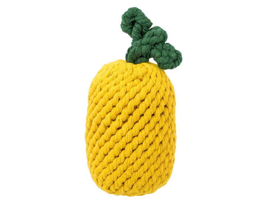PINEAPPLE 8" ROPE DOG TOY