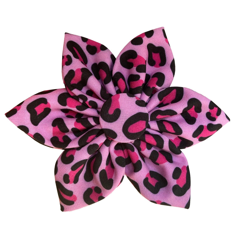 Pink Leopard Pinwheel