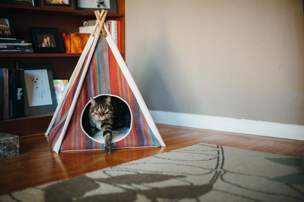 Horizon Pet Teepee - Desert