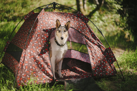 Outdoor Dog Tent - Mocha