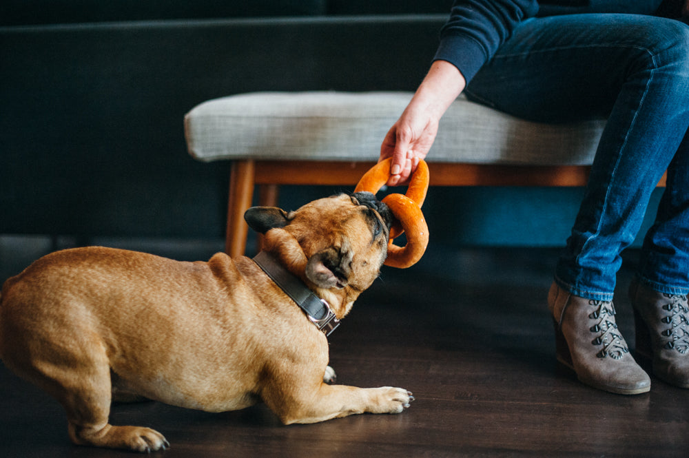 International Classic Pretzel Toy