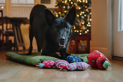 Santa's Little Squeakers - Candy Wrap