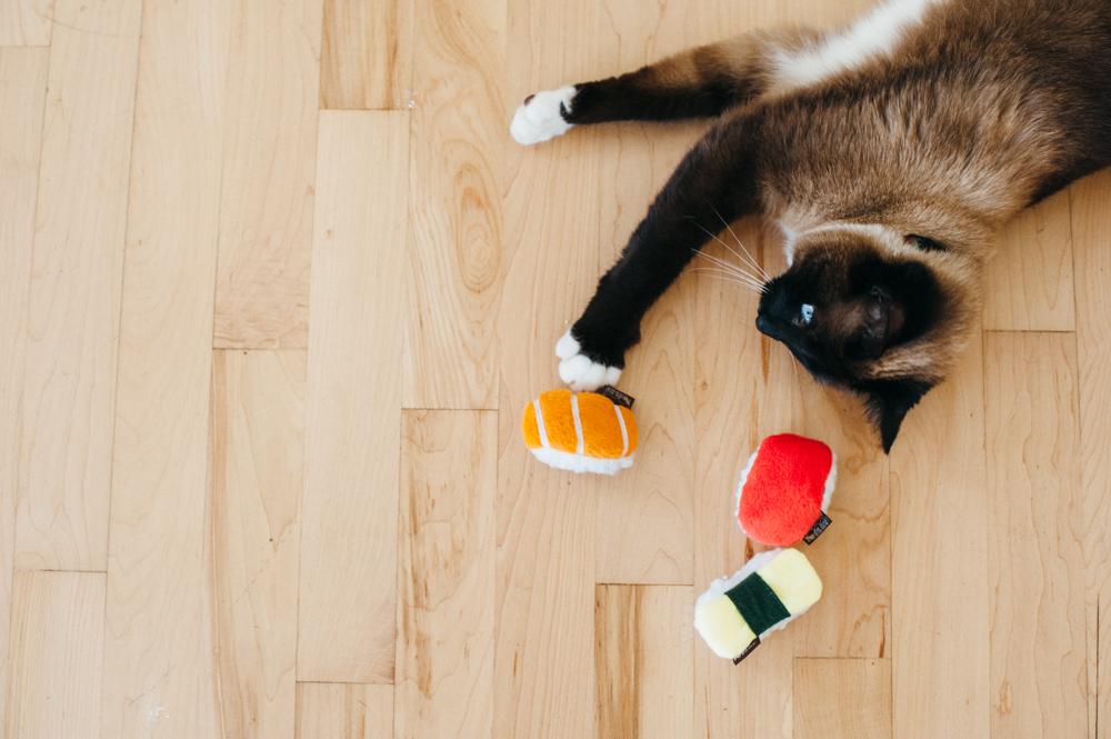 Sassy Sushi Cat Toy