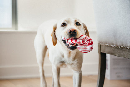 [Clearance 30%] Holiday Classic - Cheerful Candy Canes