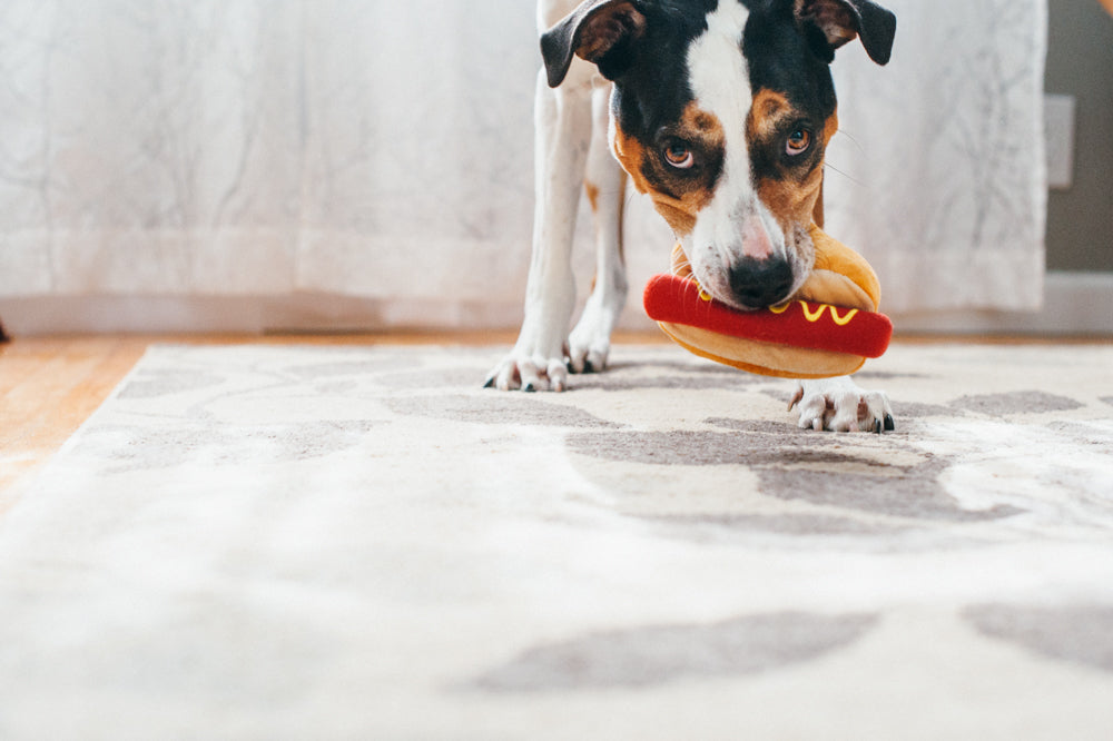 American Classic - Hot Dog Toy