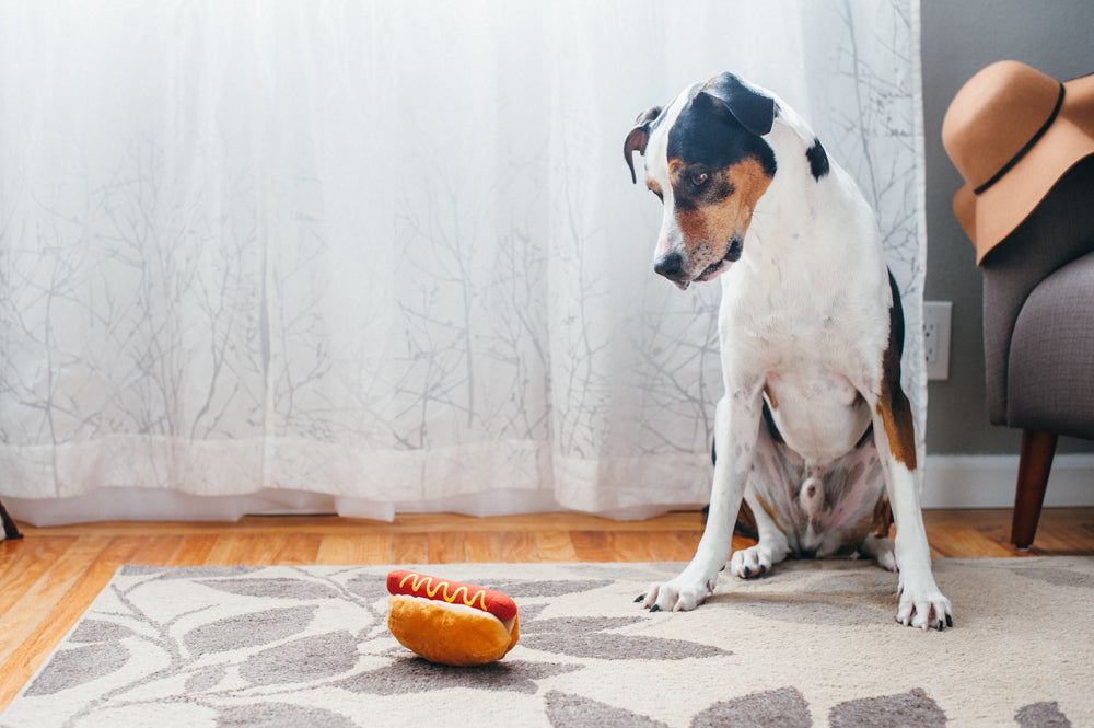 American Classic - Hot Dog Toy