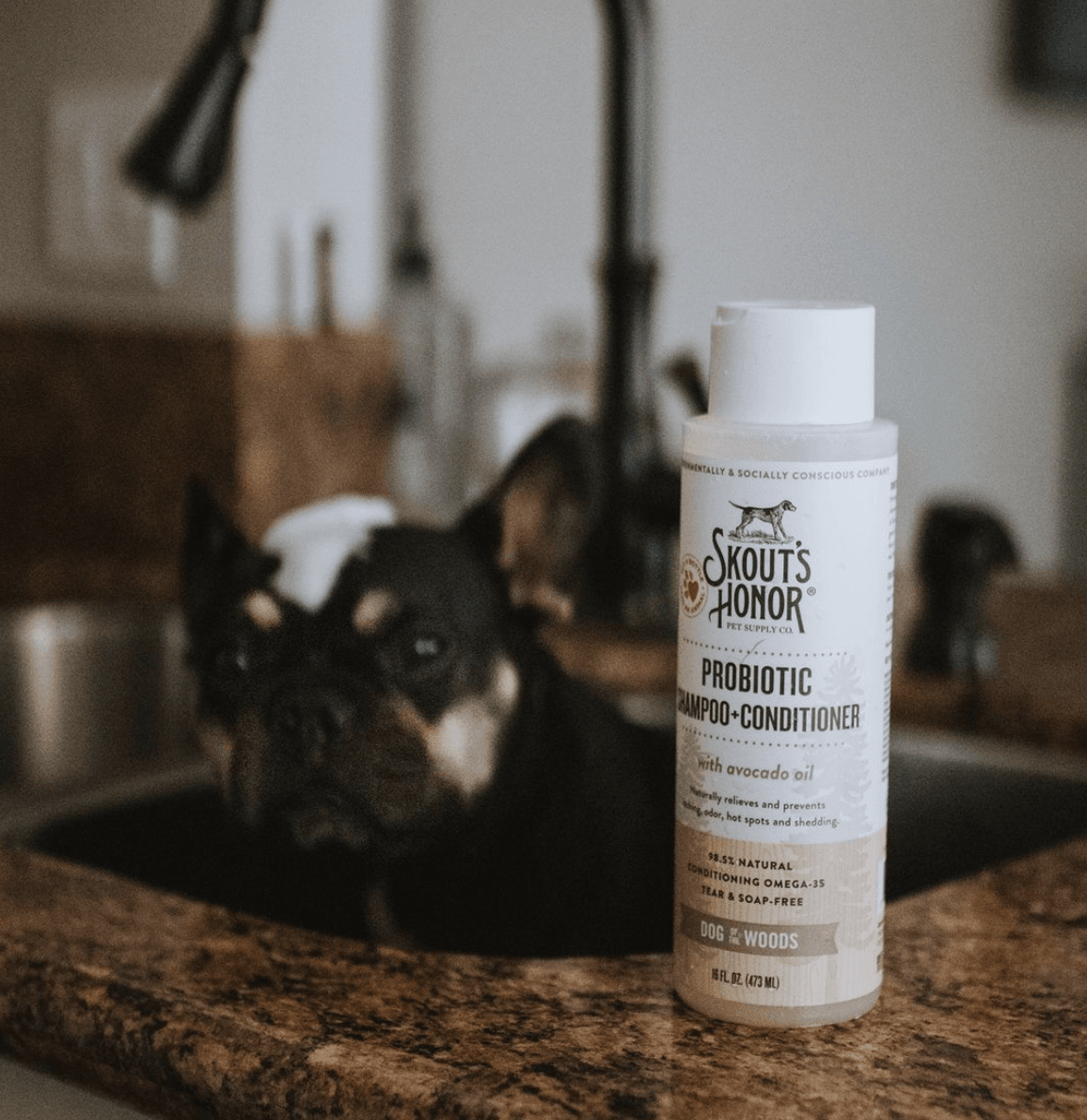 Skout's Honor Probiotic Shampoo+Conditioner Dog of the Woods(Sandalwood Vanilla)16oz