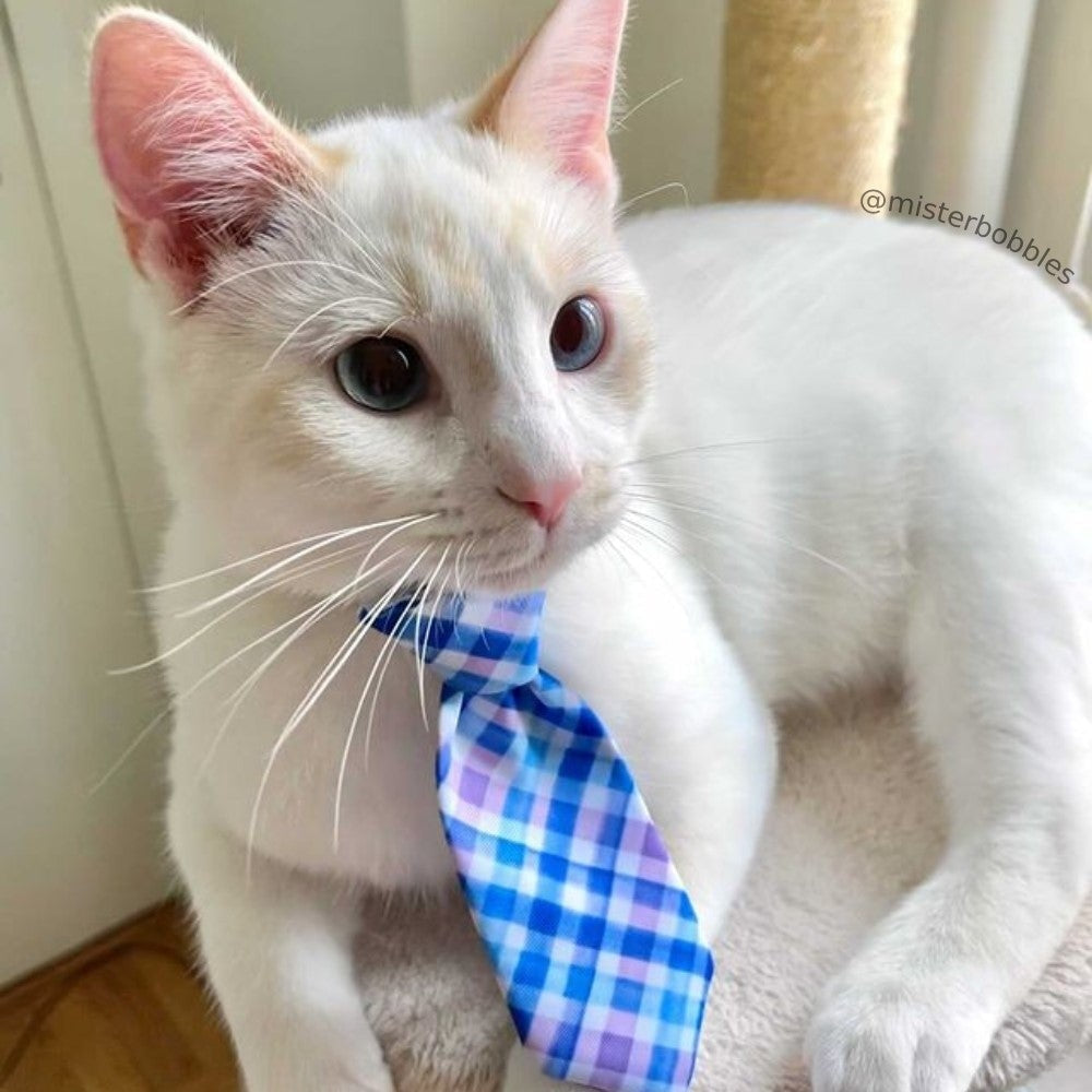 Purple Check Long Tie