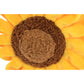 Blooming Buddies - Sassy Sunflower Toy
