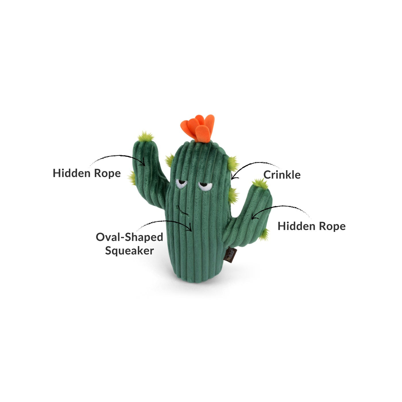 Blooming Buddies - Prickly Pup Cactus