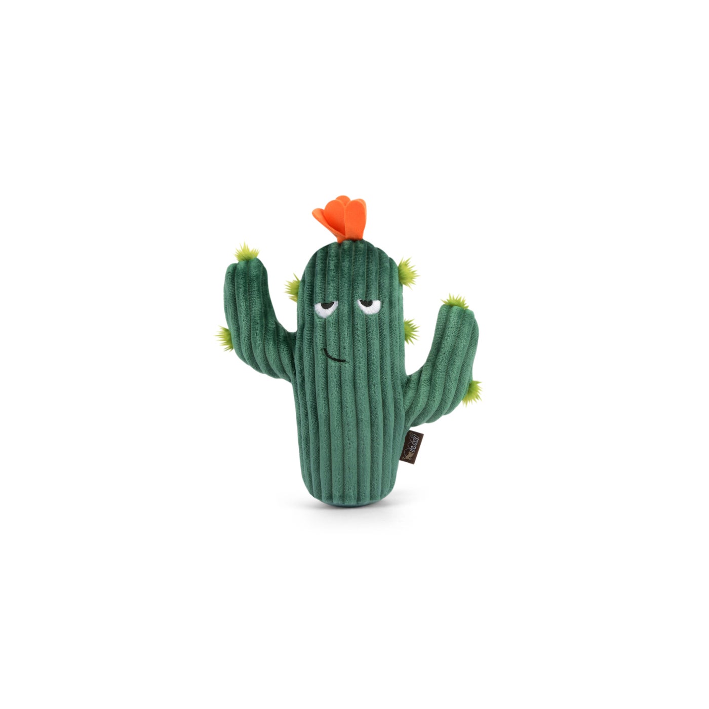 Blooming Buddies - Prickly Pup Cactus