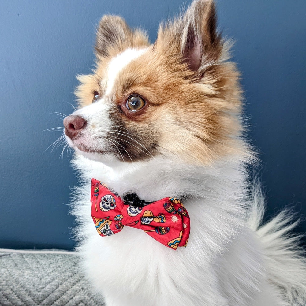 Red Skulls Bow Tie