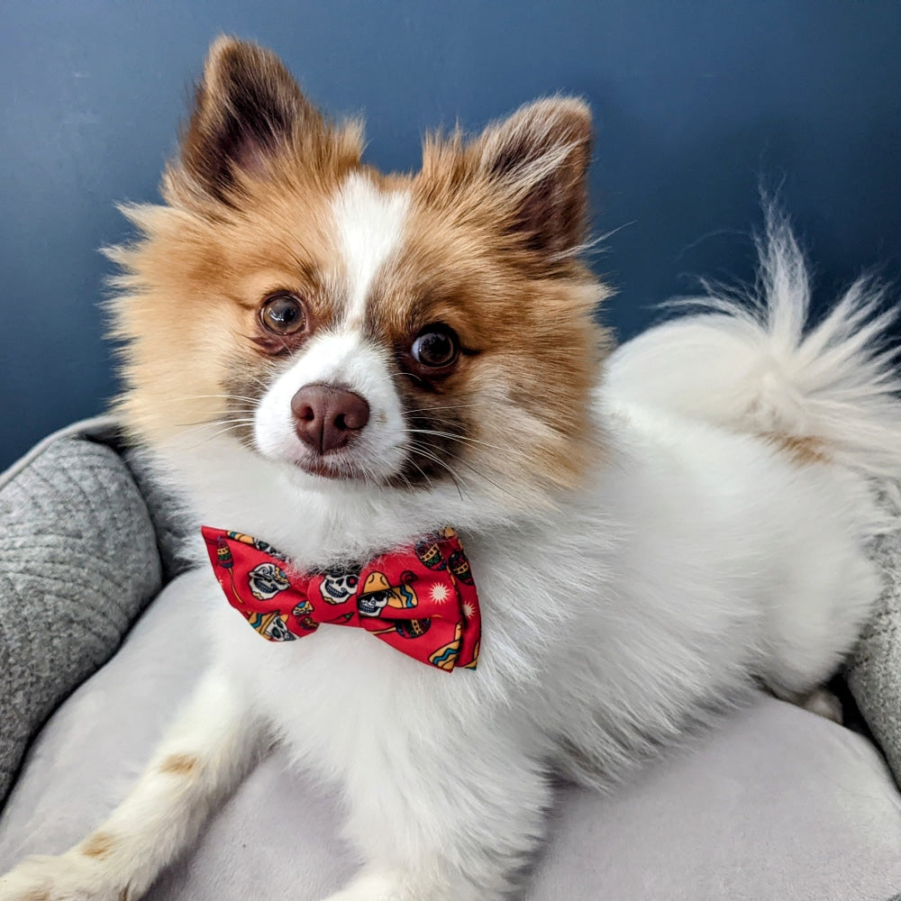 Red Skulls Bow Tie