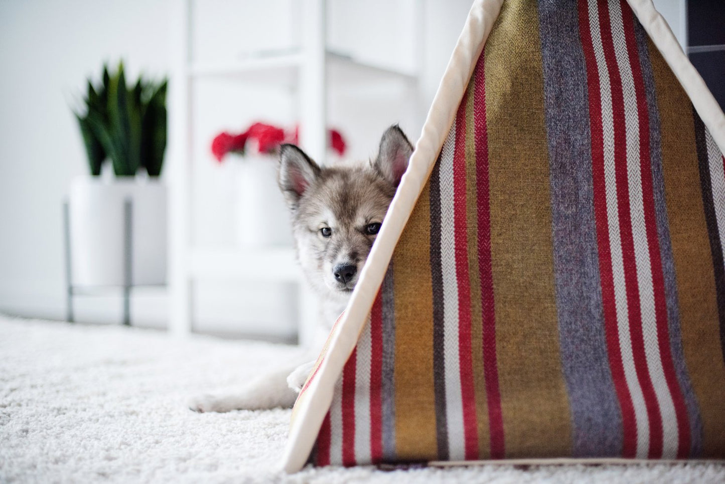 Horizon Pet Teepee - Desert