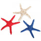 Cotton Rope Starfish Dog Toy