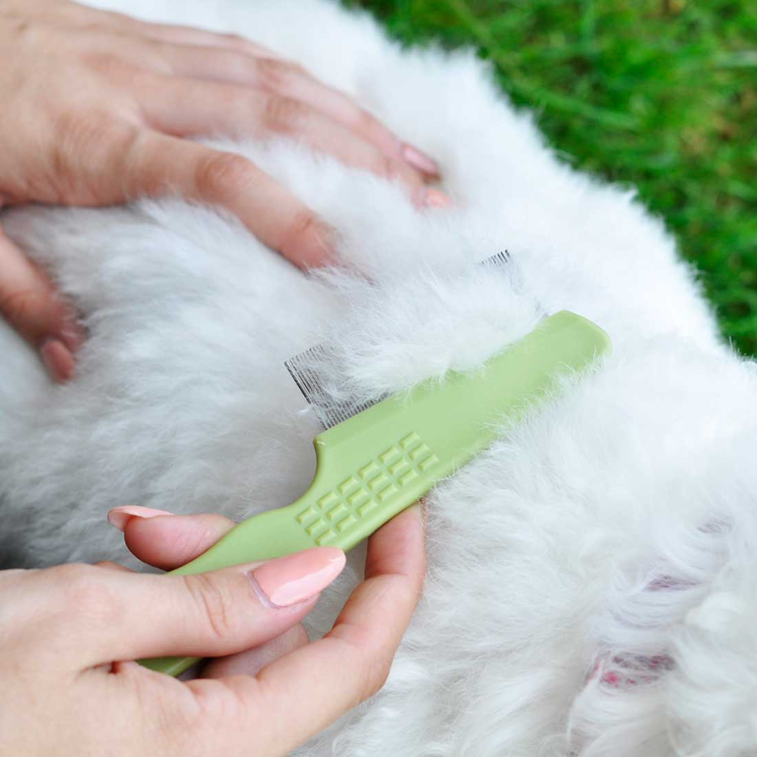 Safari Dog Flea Comb longhaired Breeds