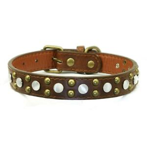 Tiger Eye Brown/Silver Collar