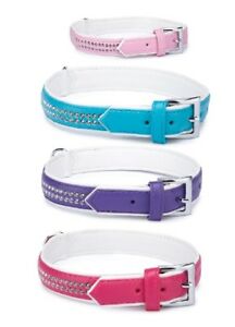 Sparkle Gem Studded Dog Collar