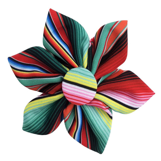 Serape Pinwheel