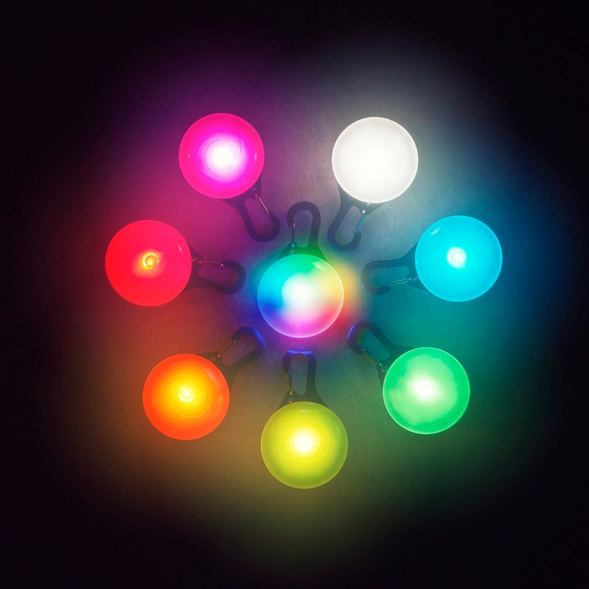 SpotLit Collar Light