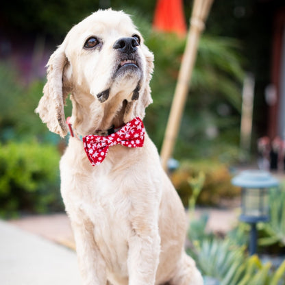 Snowflake Bow Tie