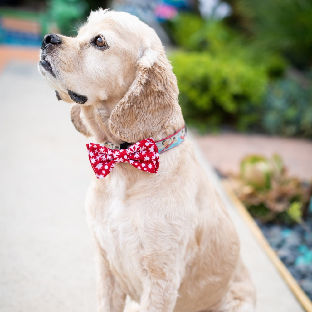 Snowflake Bow Tie