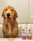 Skout's Honor Probiotic Shampoo+Conditioner Dog of the Woods(Sandalwood Vanilla)16oz