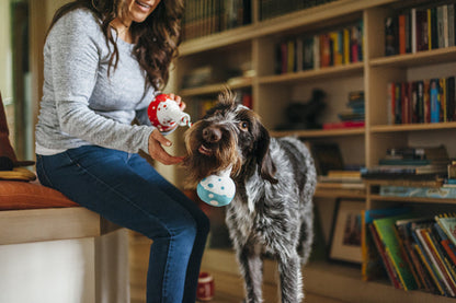 Back to School - Barking Beakers