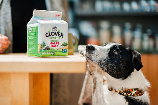 Clover Sonoma Canine Carton