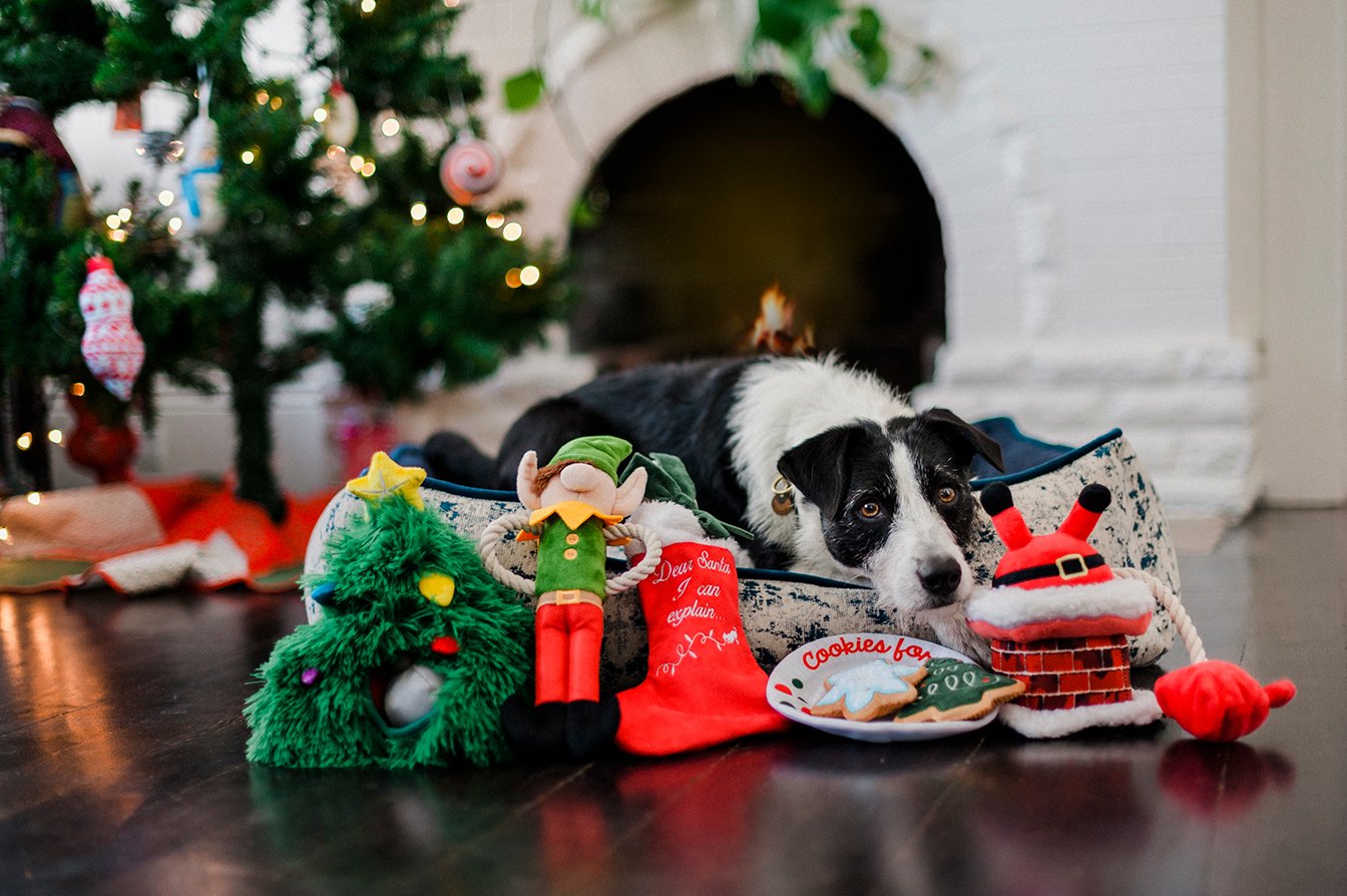 Merry Woofmas Collection - Clumsy Claus