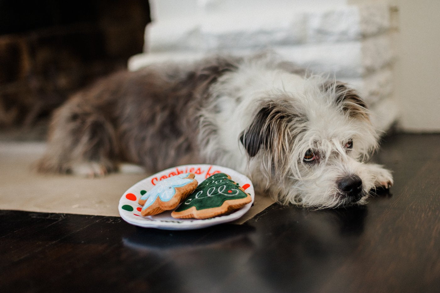 Merry Woofmas Collection - Christmas Eve Cookies