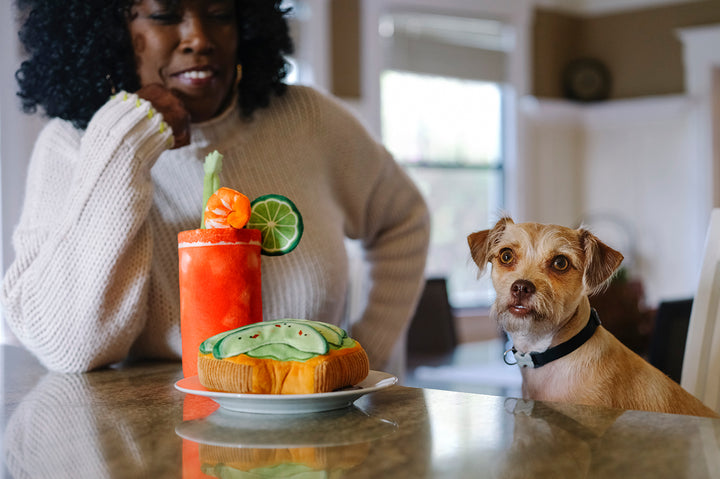 Barking Brunch - Avocado Toast