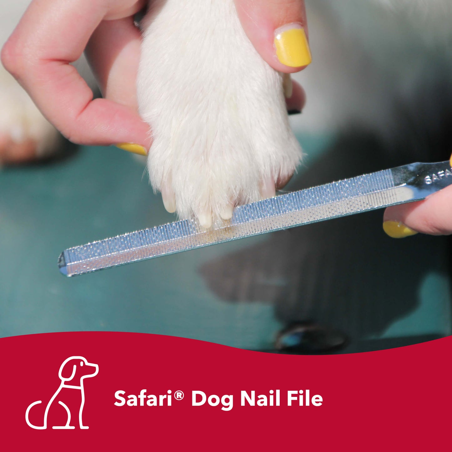 Safari Dog Nail File